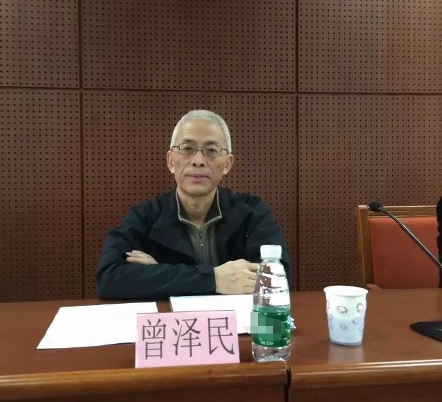 中国乐器协会常务副理事长曾泽民